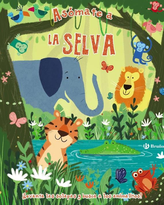 ASOMATE A LA SELVA | 9788469622841 | VARIOS AUTORES