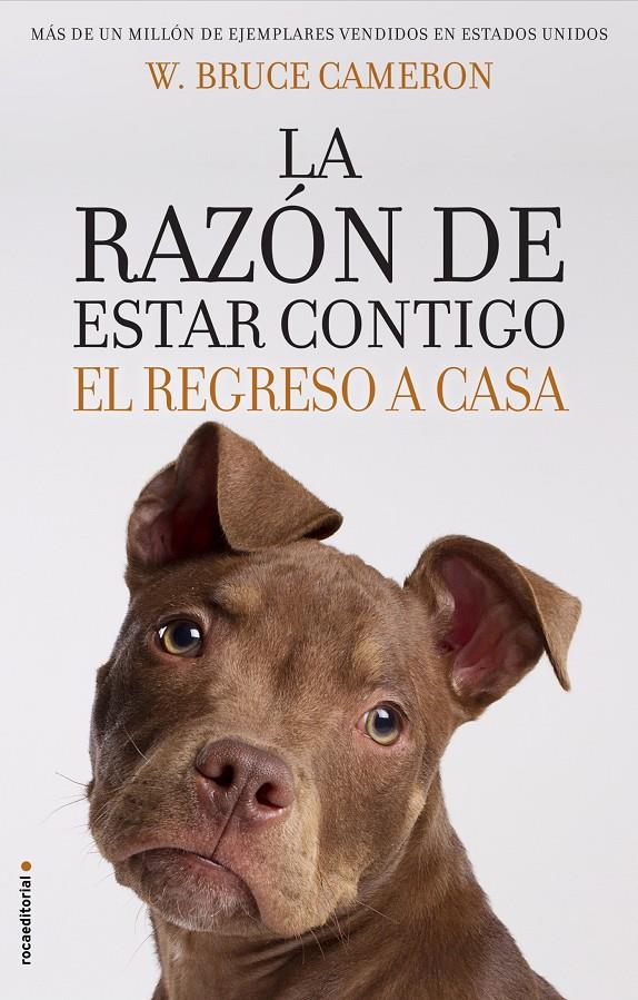 RAZON DE ESTAR CONTIGO EL REGRESO A CASA, LA | 9788417092887 | CAMERON, W BRUCE