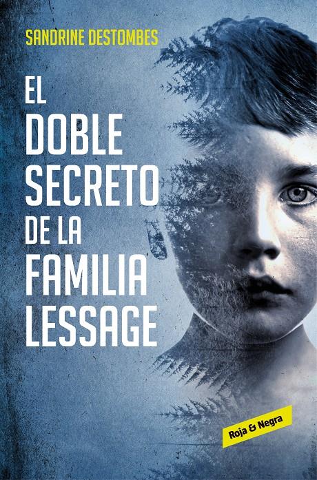 DOBLE SECRETO DE LA FAMILIA LESSAGE, EL  | 9788417511494 | DESTOMBES, SANDRINE