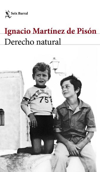 DERECHO NATURAL | 9788432232220 | MARTINEZ DE PISON, IGNACIO