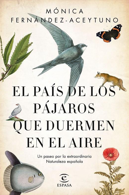 PAIS DE LOS PAJAROS QUE DUERMEN EN EL AIRE, EL  | 9788467051469 | FERNANDEZ-ACEYTUNO SAENZ DE SANTA MARIA, MONICA